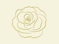 A cool yellow rose flower design blooming so beautiful with lines on light background Royalty Free Stock Photo