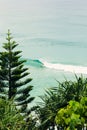 Coolangatta Surfers