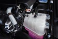 Coolant tank with a pink liquid antifreeze.