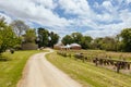 Coolart Wetlands and Homestead in Somers, Australia Royalty Free Stock Photo