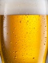 Cooled glass of beer close-up. Small water drops on cold surface of beer glass Royalty Free Stock Photo