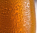 Cooled glass of beer close-up.  Small water drops on cold glass surface Royalty Free Stock Photo