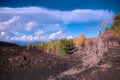 Cooled lava field and autumnal mixed forest in Etna Park Royalty Free Stock Photo