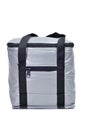 Cooler bag Royalty Free Stock Photo