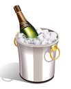 Cooler with champagne