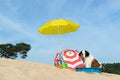 Cooling down for dog at the beach Royalty Free Stock Photo