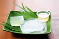 cooling gel pack and aloe vera epresenting soothing remedies