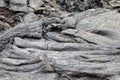 Cooling lava close up. Volcano eruption at Fagradalsfjall, Iceland