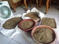 cooling process of herbal bird feed for canaries