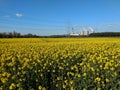 Drax power station behind a field of oil seed rape Royalty Free Stock Photo