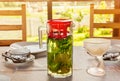 Cooling vitamin detox drink made from crushed mint leaves and currants in a large transparent glass jar with red lid is