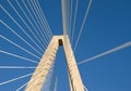 Cooper River Bridge Royalty Free Stock Photo