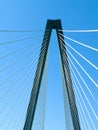 The Cooper River Bridge - Charleston, South Carolina Royalty Free Stock Photo