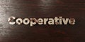 Cooperative - grungy wooden headline on Maple - 3D rendered royalty free stock image