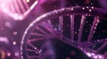 Coordination between DNA replication and cell cycle checkpoints demonstrates the mechanisms ensuring accurate
