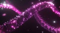 The coordination of DNA replication and cell cycle checkpoints reveals mechanisms that guarantee precise genome
