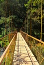 Coorg Bridge Royalty Free Stock Photo