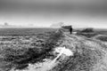 Coountryside scene of a muddy field in black and white