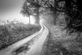 Coountryside scene of a road in black and white