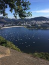 Copacabana Beach, Rio de Janeiro, water, tree, reflection, sky