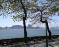 Copacabana View in Copacabana Fort Museum Rio de Janeiro Brazil.