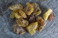 Copal tree resin