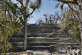 Copan, Honduras, Central America: The West Court of Copan.