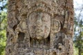 Copan, Honduras: stela of maya ruler in Copan Royalty Free Stock Photo