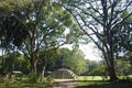 Copan Maya ruins