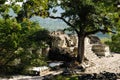 Copan Mayan ruins in Honduras Royalty Free Stock Photo