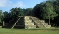 Copan Temple Mayan History Honduras Royalty Free Stock Photo