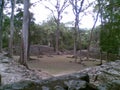Copan Typical Maya Ruins Honduras