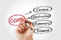 COPD - Chronic Obstructive Pulmonary Disease