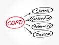 COPD - Chronic Obstructive Pulmonary Disease Royalty Free Stock Photo