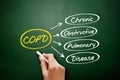 COPD - Chronic Obstructive Pulmonary Disease Royalty Free Stock Photo