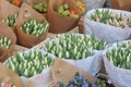 Tulips sale on easter sunday in Copenhagen Denamrk Royalty Free Stock Photo