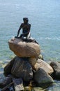The Little Mermaid, Den lille Havfrue, a bronze statue by Edvard Eriksen, the sculpture is displayed on a rock by the waterside at Royalty Free Stock Photo