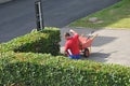 Danish gardener working around plantation in Copenhagen