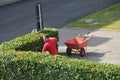 Danish gardener working around plantation in Copenhagen