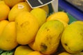 ASIAN YELLOW MANGOS FRUIT