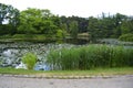 Copenhagen, Denmark - July 2021: Beautiful nature at the open area of The University of Copenhagen Botanical Garden Royalty Free Stock Photo