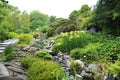 Copenhagen, Denmark - July 2021: Beautiful nature at the open area of The University of Copenhagen Botanical Garden Royalty Free Stock Photo