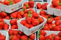 Denmark home frown danish strawberry containers for sale