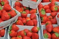 Denmark home frown danish strawberry containers for sale