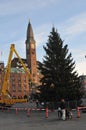 Huge christmas tree at Copenhagen Town Hall Sq. in Capital