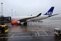 SAS AIRLINE COMMERCIAL FLIGHT