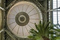 Conservatory dome ceiling design of the Ny Carlsberg Glyptotek museum