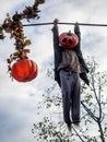 Homemade scarecrow with a Jack-O-Lantern head hanging high Royalty Free Stock Photo