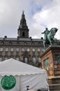 Fridays for future Denmark rally about food waste