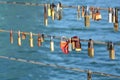 Copenhagen love locks (II)